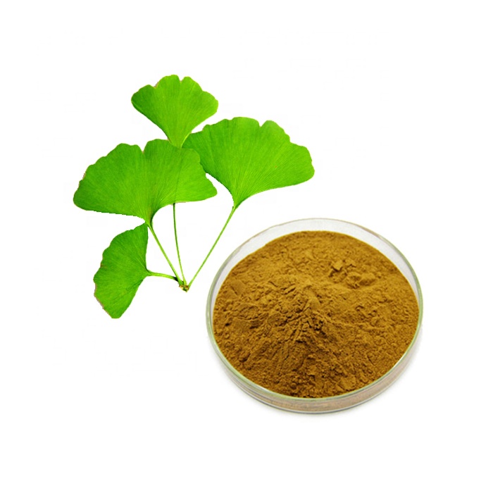 Ginkgo Leaf Extract Powder 24.0%Flavones 6.0% lactones